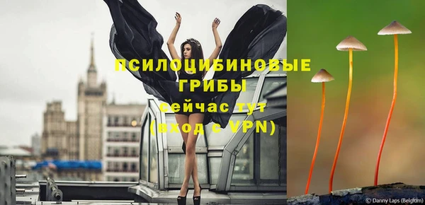 дурь Алзамай