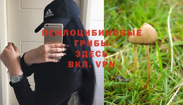 марки nbome Алексеевка