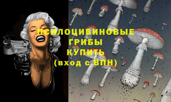 марки nbome Алексеевка