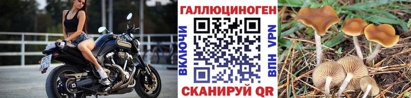 сколько стоит мориарти как зайти Псилоцибиновые грибы MAGIC MUSHROOMS Пласт